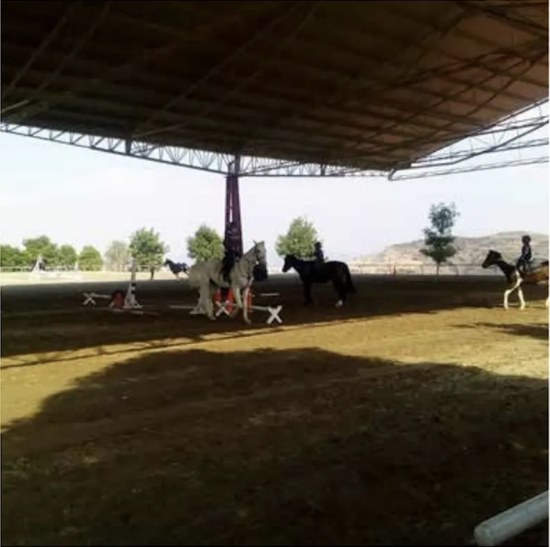 Terrenos Premium en Zona Esmeralda
