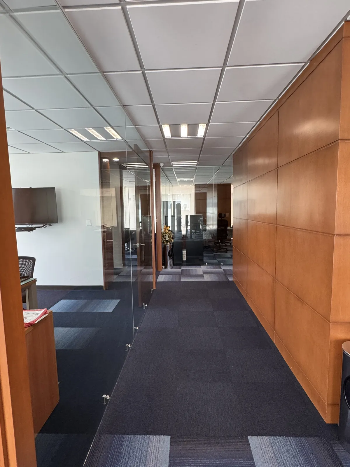 Oficinas Amuebladas en Venta – Plaza Antigua